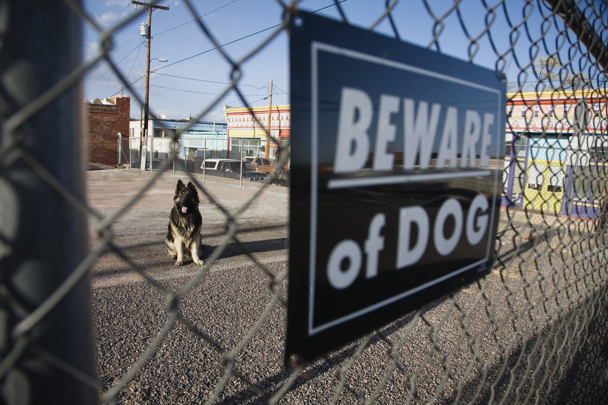 dog bite lawyer Inglewood, CA